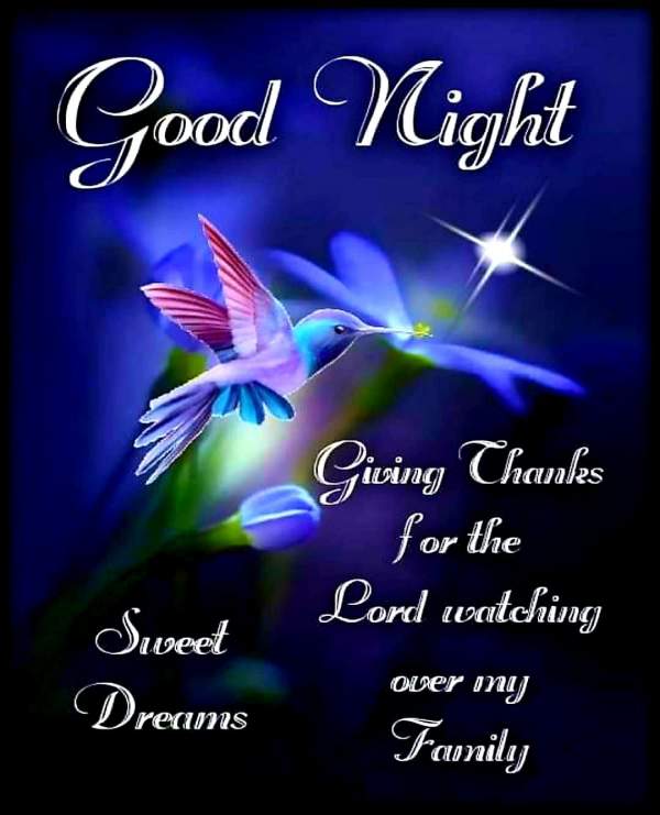Best Good Night Images with Quotes, Wishes, Messages for WhatsApp The