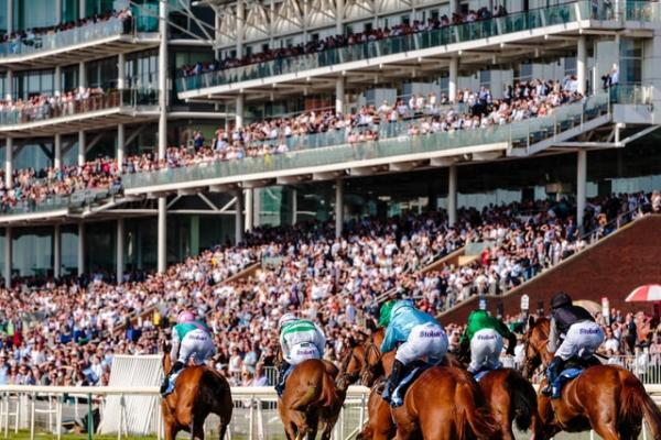 Easiest Sports to Bet On for Beginners Easiest Sports to Bet On for Beginners