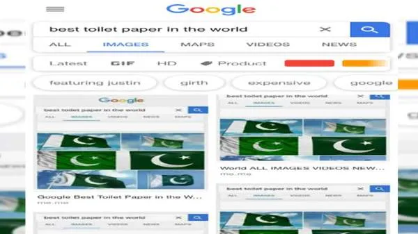 Google image search with 'best toilet paper in the world' shows Pakistan Flag