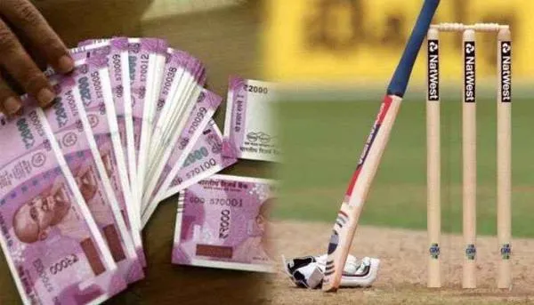 best cricket betting analysis websites