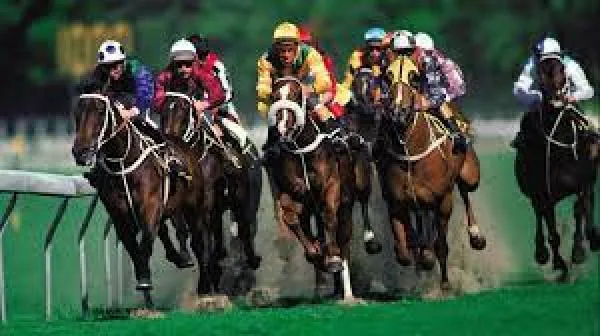 All about the Grand National - the UK's most famous horse race