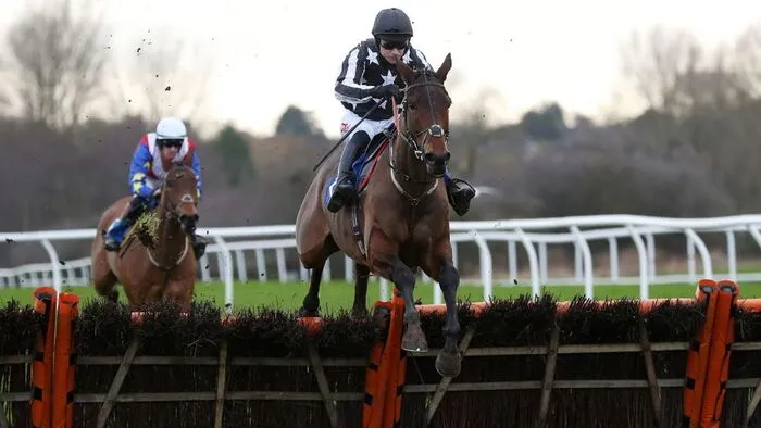 Imperial Alcazar Seeking More Cheltenham Glory In 2022/23